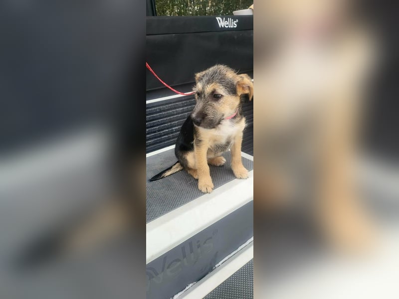 Evita, geboren 19.10.2025, 32cm sucht ihr Glück