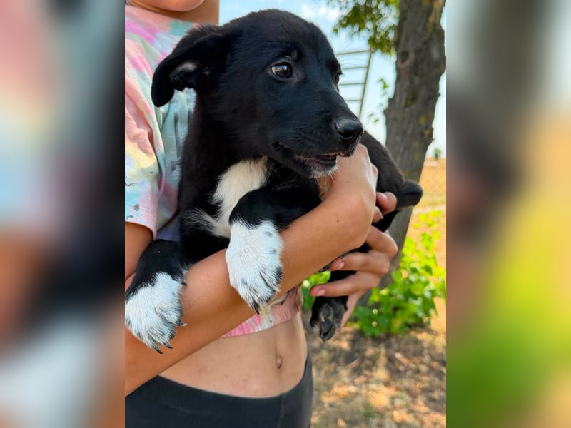 Dorisz, geboren 25.05.2026, 32cm sucht ihre Menschen