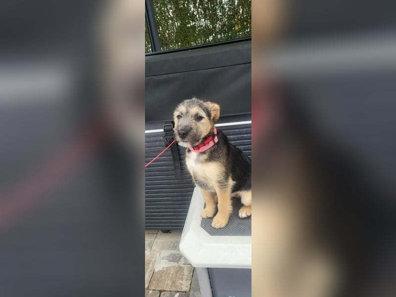 Evita, geboren 19.10.2025, 32cm sucht ihr Glück