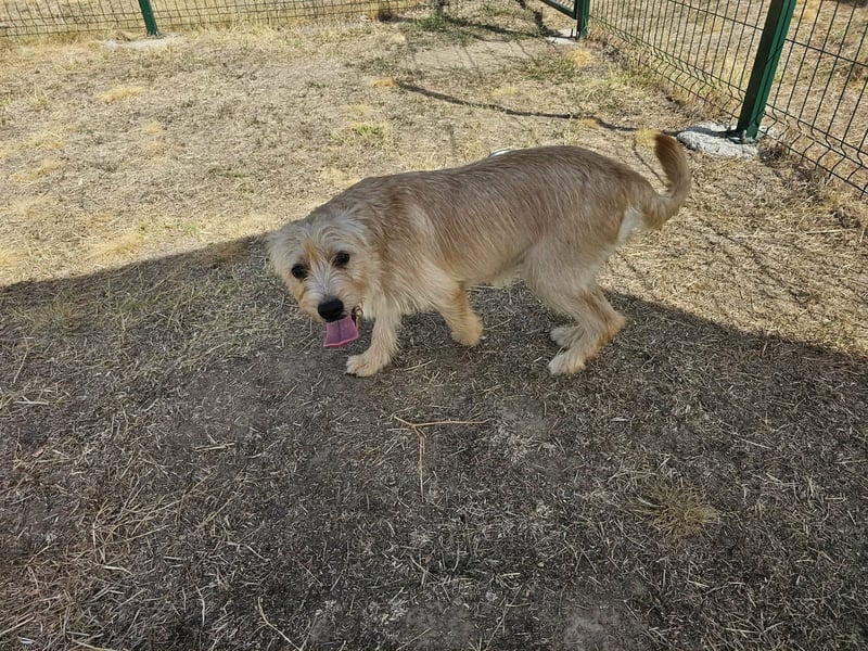 Libby, geboren 01.04.2026, 40cm sucht ihr Glück