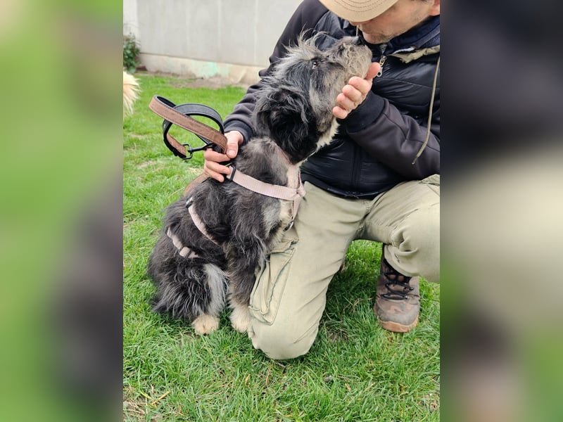 Laura, geboren 01.01.2023, 39cm sucht ihre Familie