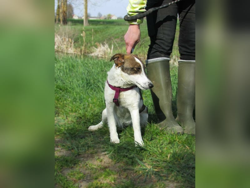 Szamoca, geboren 06.2025, 35cm sucht ihre Familie