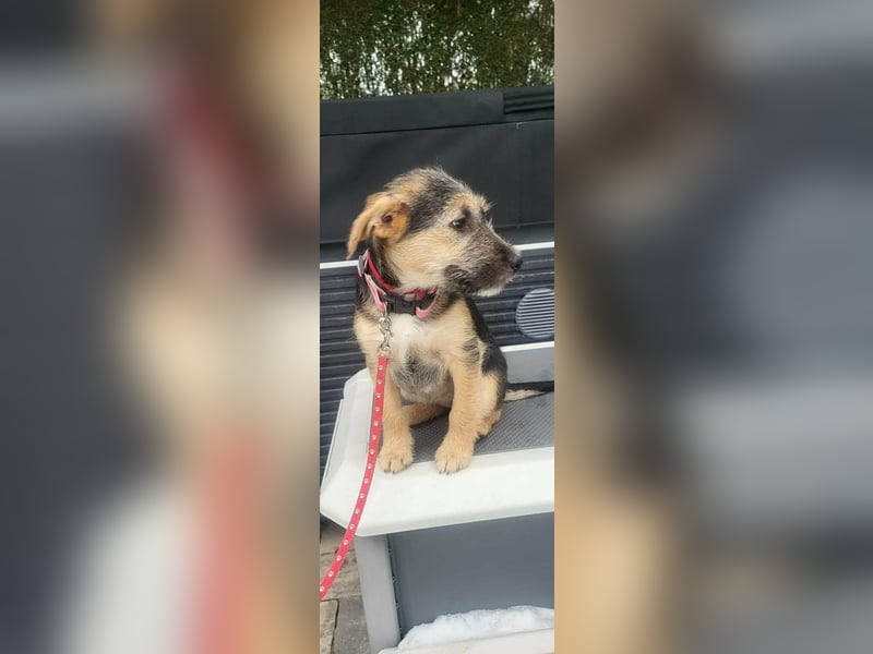 Evita, geboren 19.10.2025, 32cm sucht ihr Glück