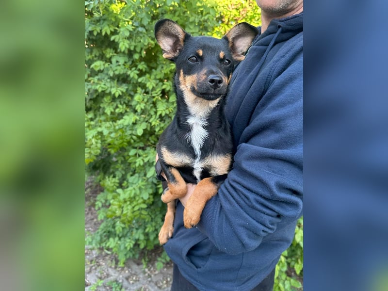 Tina, geboren 20.01.2026, 32cm sucht ihr Glück