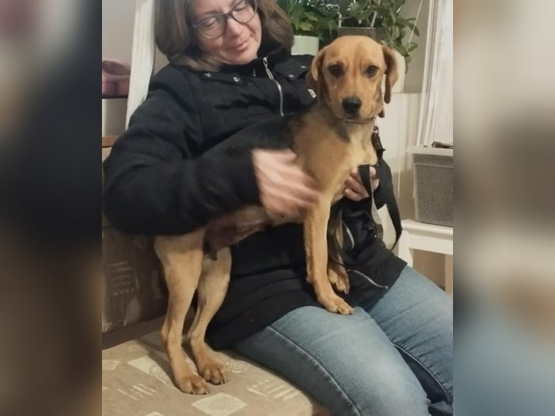 Poppy, geboren 01.07.2024, 40cm sucht Geborgenheit