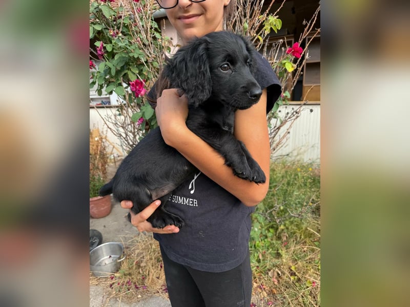 Evelyn, geboren 05.07.2026, 25cm sucht ihre Menschen