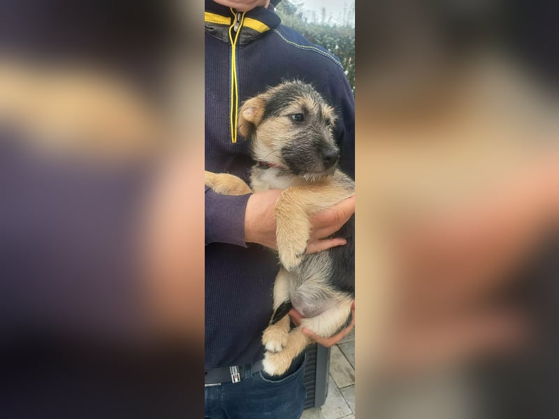 Evita, geboren 19.10.2025, 32cm sucht ihr Glück