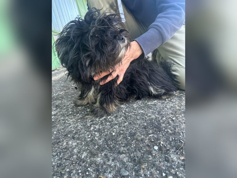 Polly, geboren 26.03.2025, 28cm sucht sein Plätzchen