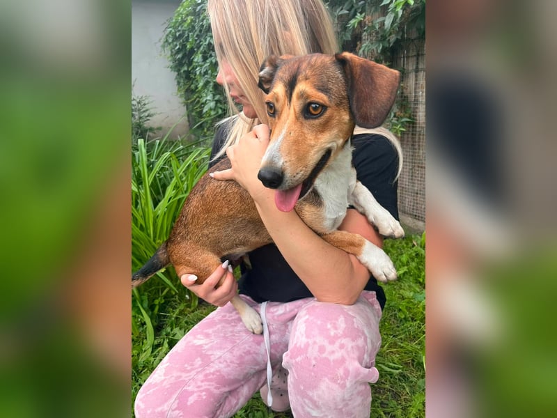 Inez, geboren 02.04.2024, 30cm sucht ihr Zuhause