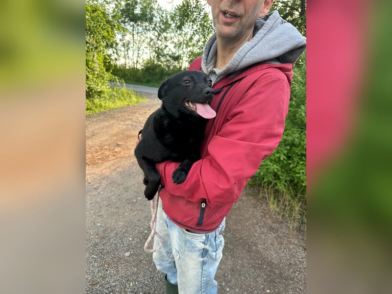 Ajna, geb. 06/2024, 39 cm, sucht ihre Herzensmenschen
