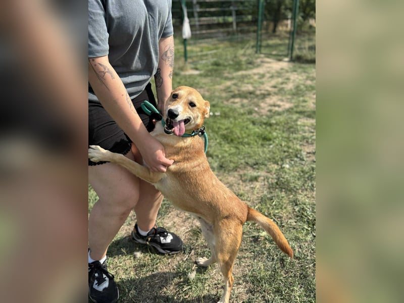 Wendy, geboren 07.2018, 42cm sucht ihr Für-Immer-Zuhause