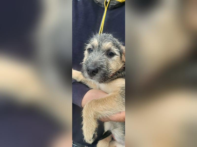 Evita, geboren 19.10.2025, 32cm sucht ihr Glück