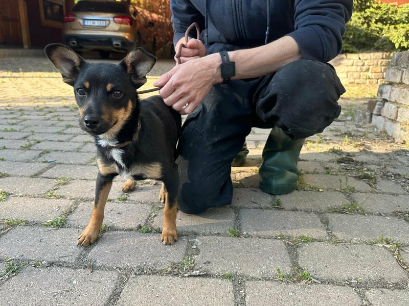 Tina, geboren 20.01.2026, 32cm sucht ihr Glück