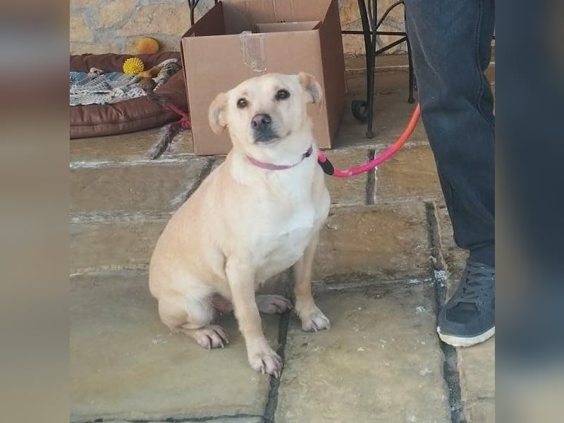 Baba, geboren 05.2023, 38cm sucht Menschen mit Herz