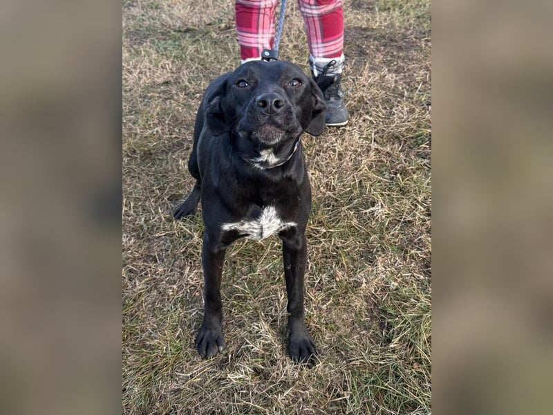 Hetty, geboren 25.01.2025, 42cm sucht ihre Familie