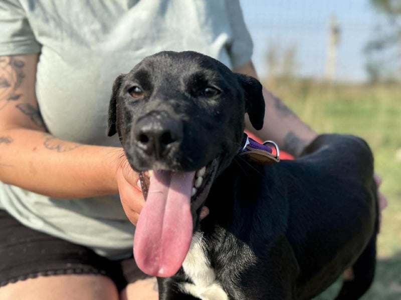 Anton, geboren 25.12.2024, 42cm sucht seine Menschen