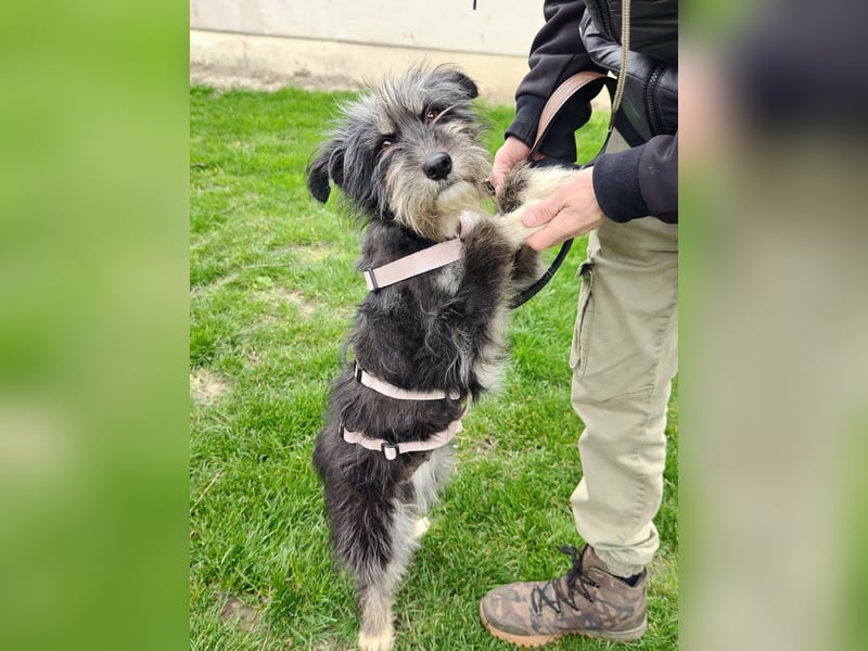 Laura, geboren 01.01.2023, 39cm sucht ihre Familie