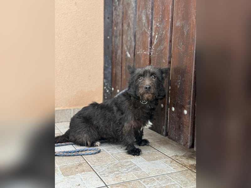 Neomi, geboren 01.06.2021, 32cm sucht ihr Glück