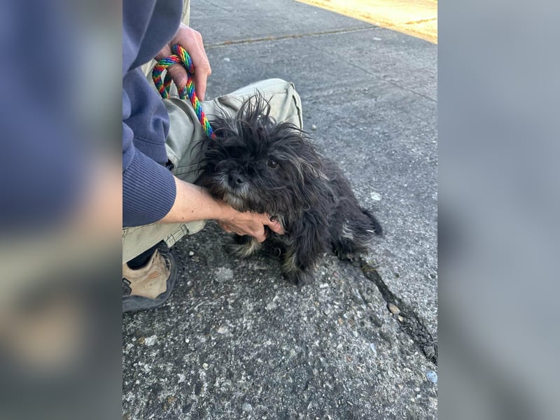 Polly, geboren 26.03.2025, 28cm sucht sein Plätzchen