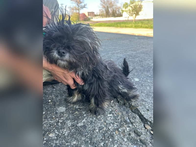 Polly, geboren 26.03.2025, 28cm sucht sein Plätzchen