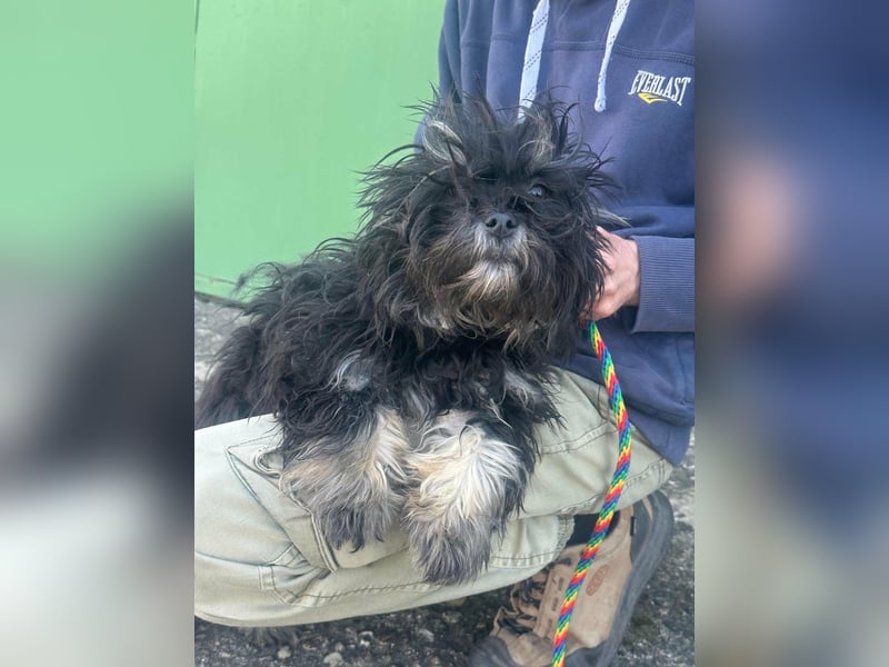 Polly, geboren 26.03.2025, 28cm sucht sein Plätzchen