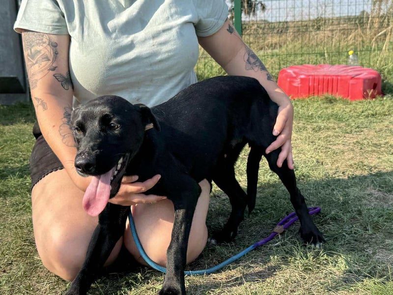 Anton, geboren 25.12.2024, 42cm sucht seine Menschen