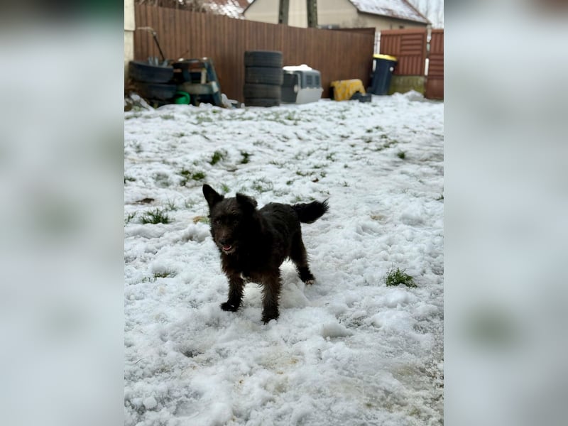 Neomi, geboren 01.06.2021, 32cm sucht ihr Glück