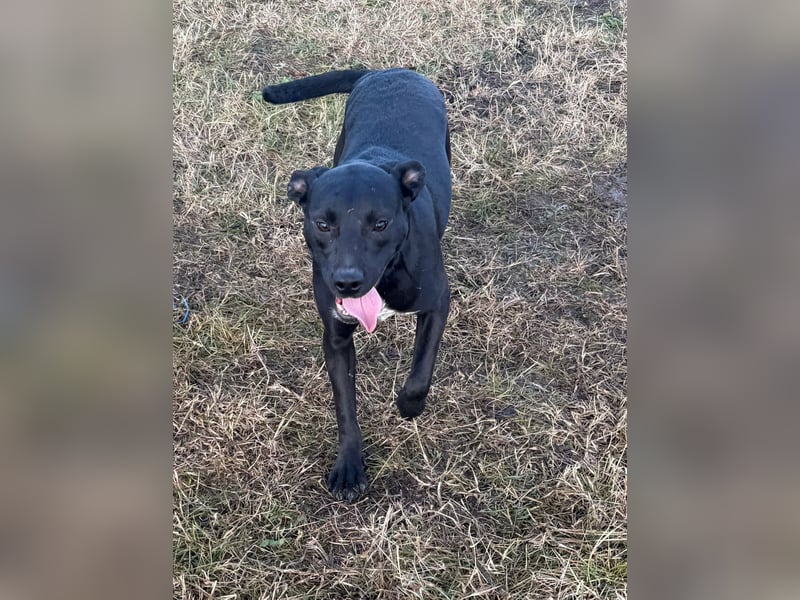 Hetty, geboren 25.01.2025, 42cm sucht ihre Familie