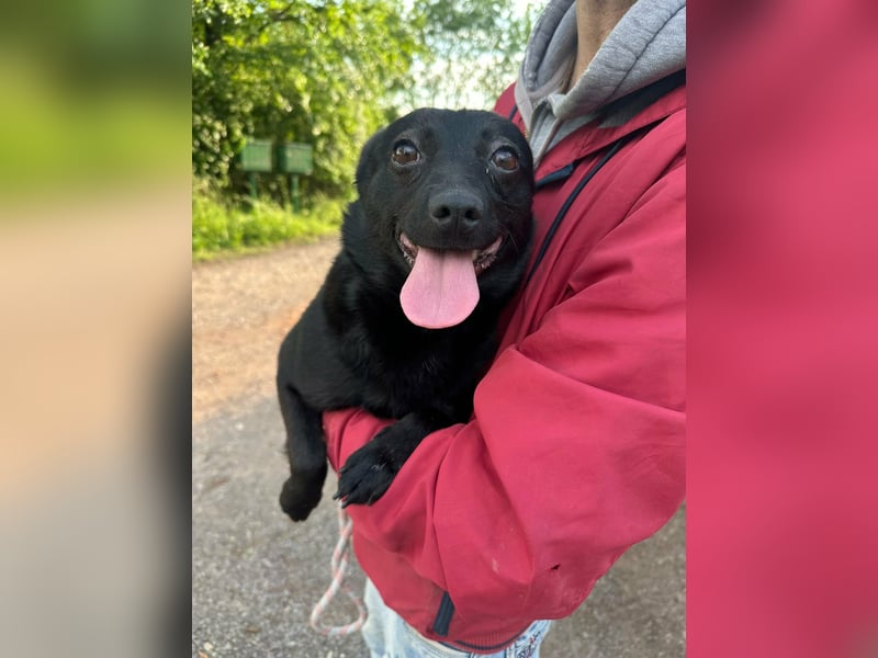 Ajna, geb. 06/2024, 39 cm, sucht ihre Herzensmenschen