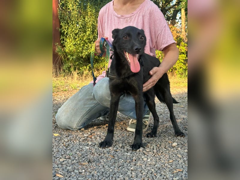 Frutti, geboren 10.12.2024, 41cm sucht ihr Zuhause