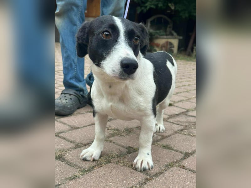 Alma, geboren 26.08.2023, 29cm sucht ihr Glück