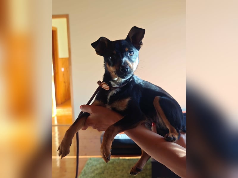 Tina, geboren 20.01.2026, 32cm sucht ihr Glück