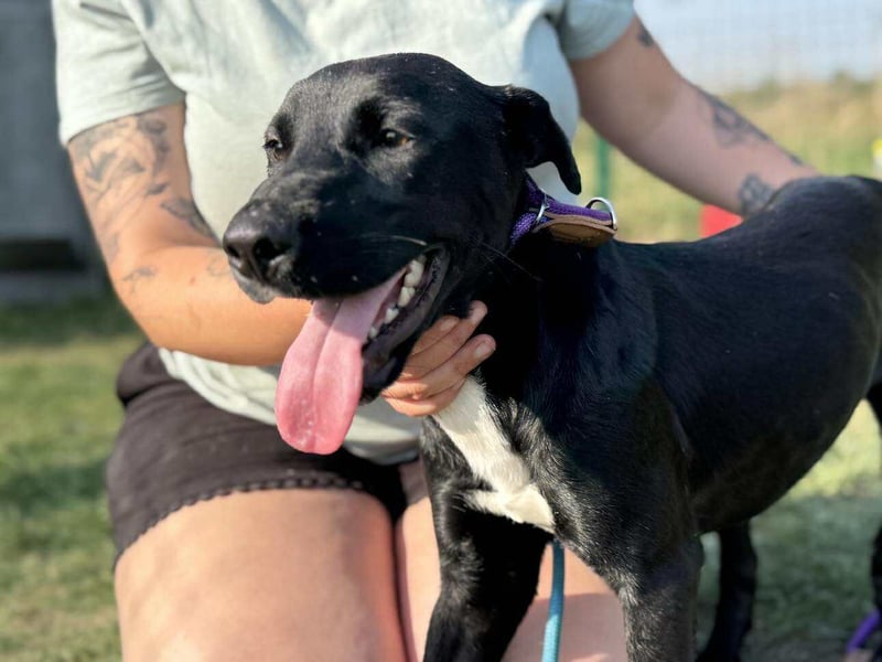 Anton, geboren 25.12.2024, 42cm sucht seine Menschen