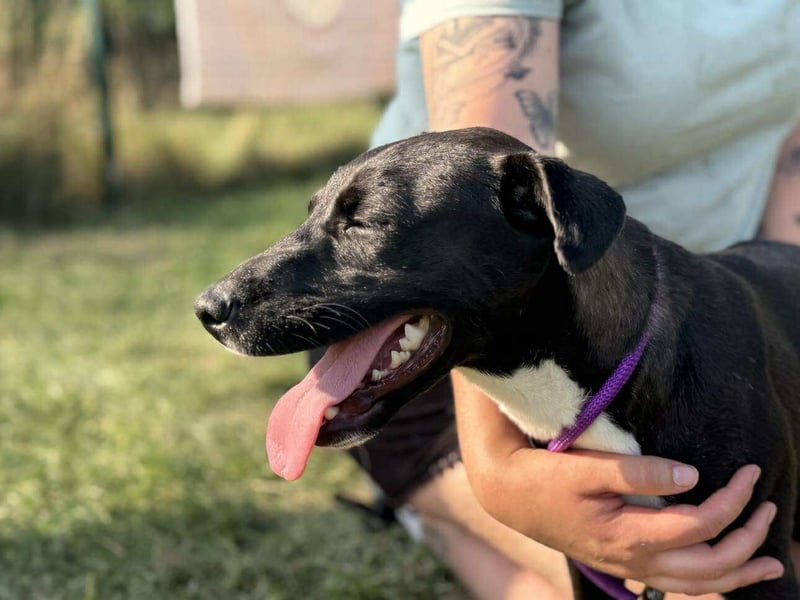 Nikita, geboren 25.12.2024, 40cm sucht ihre Chance