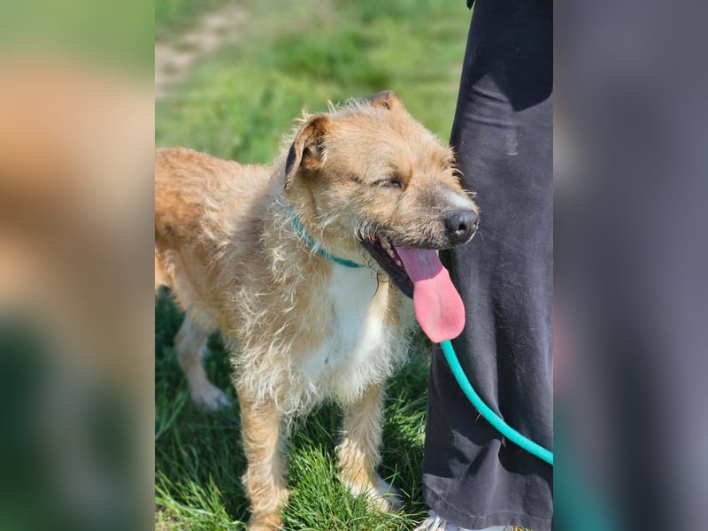 Jerry, geb. 07.2024, 42cm sucht seine Menschen zum Kuscheln