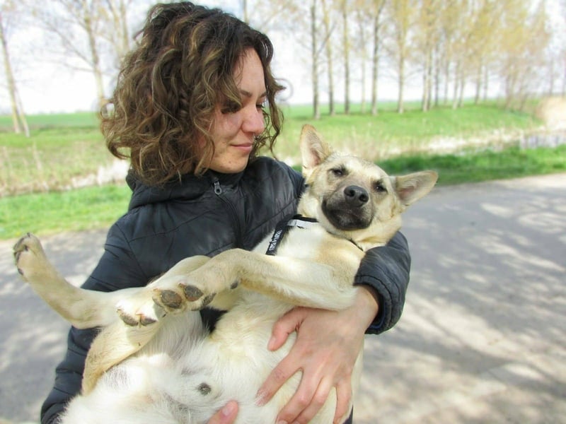 Aron, geboren 01.05.2025, 38cm sucht sein Zuhause