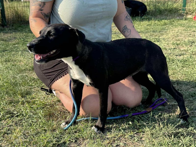 Nikita, geboren 25.12.2024, 40cm sucht ihre Chance