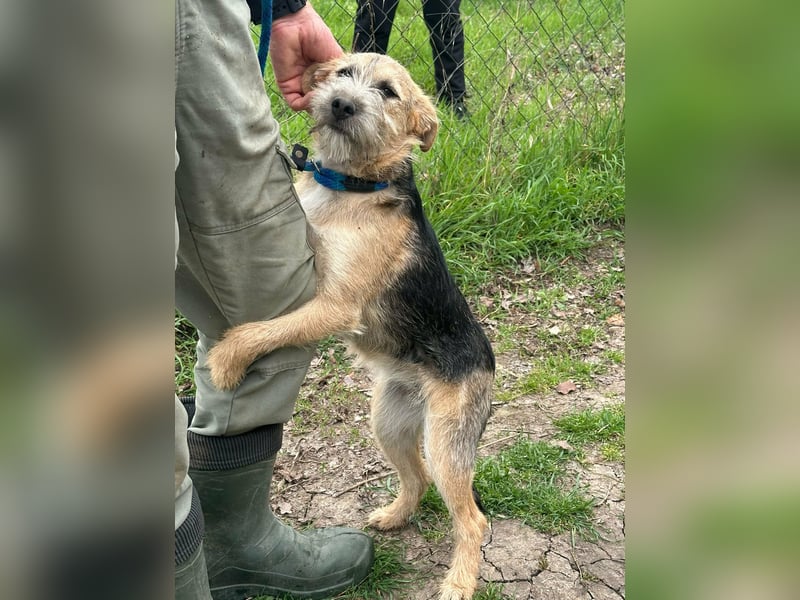 Evita, geboren 19.10.2025, 41cm sucht ihr Glück