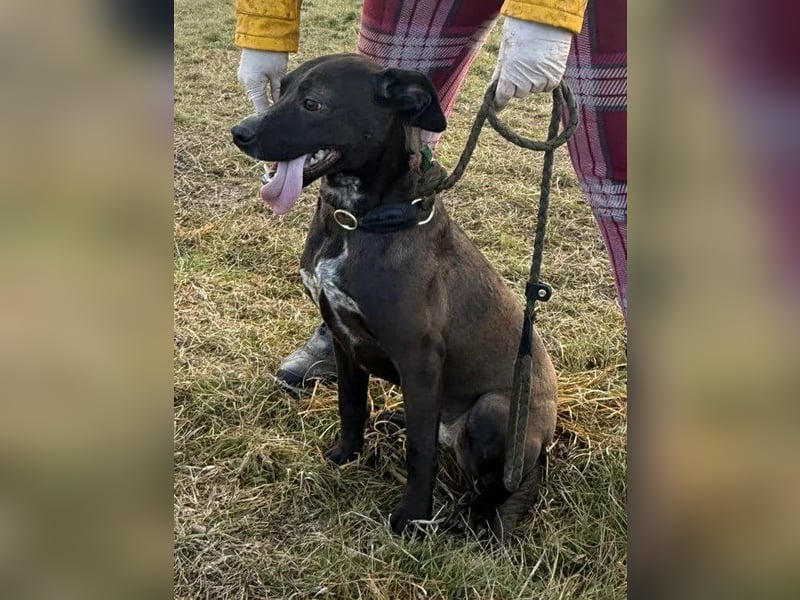 Hetty, geboren 25.01.2025, 42cm sucht ihre Familie