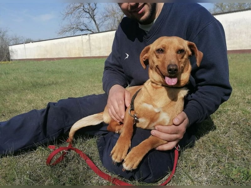 Bubu, geb. 05.2025, 35cm, sucht seine Familie