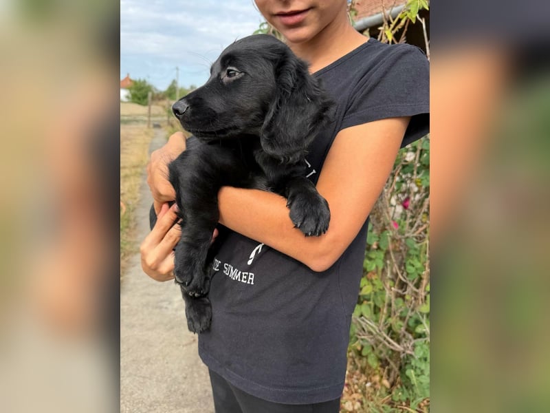 Emil, geboren 05.07.2026, 26cm sucht sein Zuhause