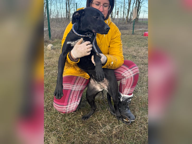 Hetty, geboren 25.01.2025, 42cm sucht ihre Familie