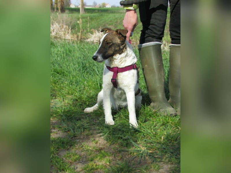 Szamoca, geboren 06.2025, 35cm sucht ihre Familie