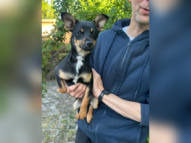 Tina, geboren 20.01.2026, 32cm sucht ihr Glück