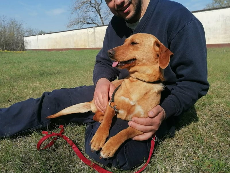 Bubu, geb. 05.2025, 35cm, sucht seine Familie