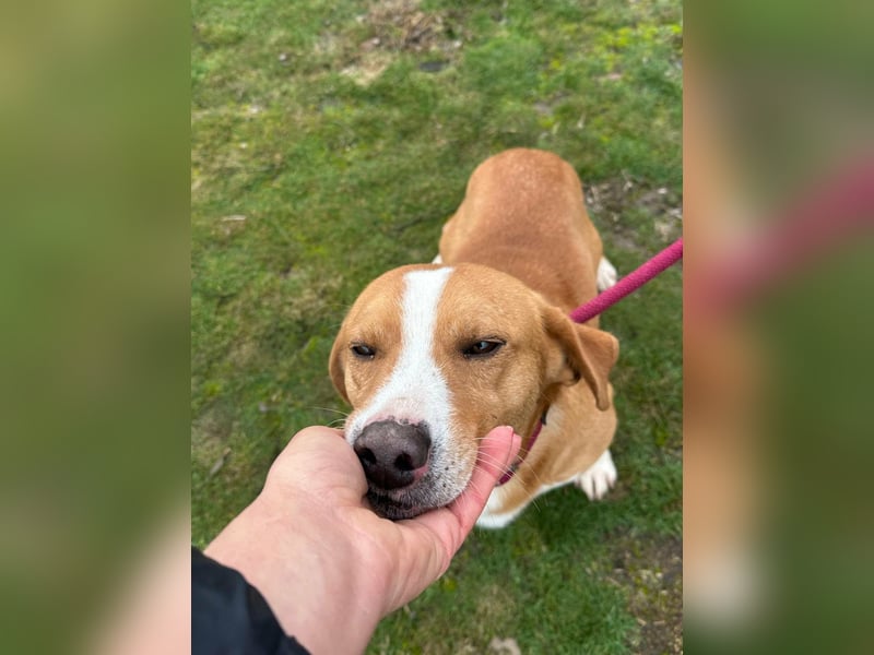 Barnabas, geboren 10.05.2025, 38cm sucht sein Zuhause