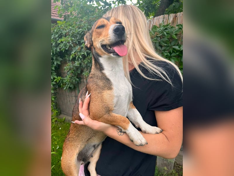 Inez, geboren 02.04.2024, 30cm sucht ihr Zuhause