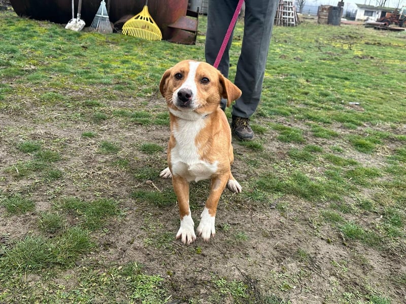 Barnabas, geboren 10.05.2025, 38cm sucht sein Zuhause