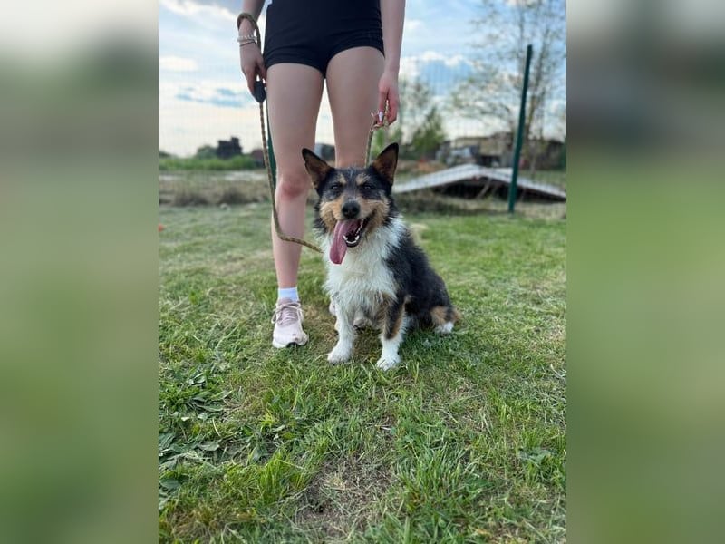 Cuki wartet auf tolle Abenteuer