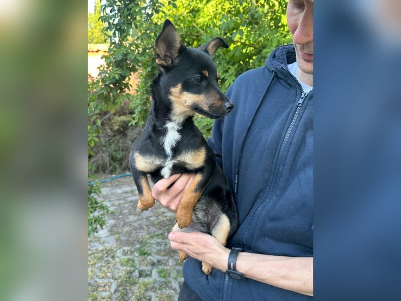 Tina, geboren 20.01.2026, 32cm sucht ihr Glück